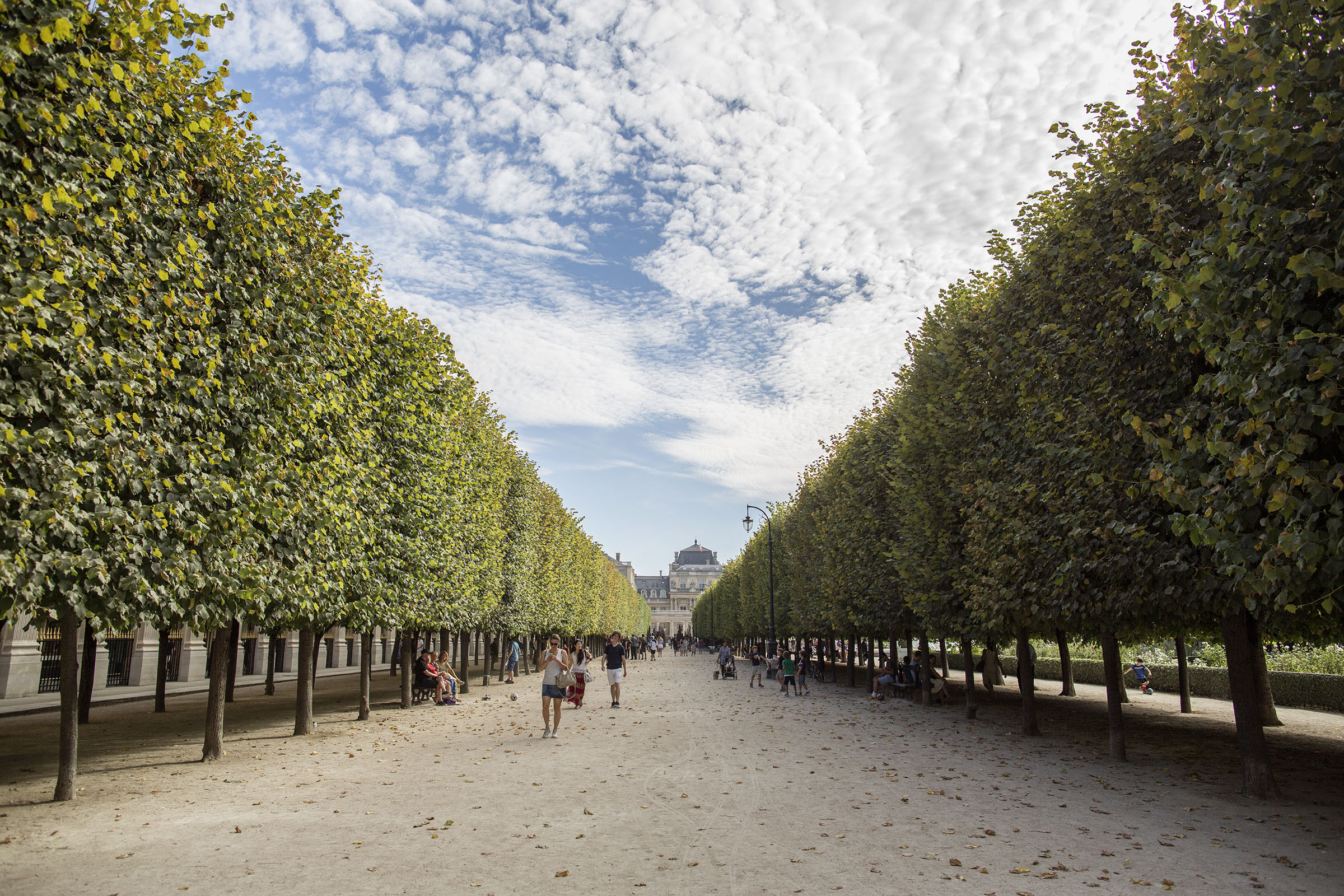 61/JARDIN PALAIS ROYALE/palais-royal-hand-in-paris.jpg
